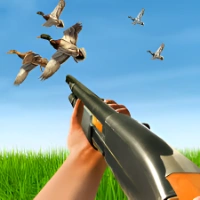 Duck Hunter