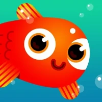 Fish Flow